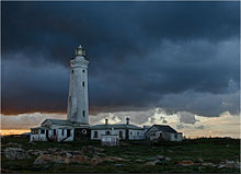 Cape St Francis Lighthouse Seal Point.jpg