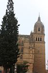 Catedral Nueva de Salamanca15.jpg