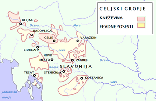 <span class="mw-page-title-main">County of Cilli</span> Constituent state of the Holy Roman Empire in present-day Slovenia (1341–1456)
