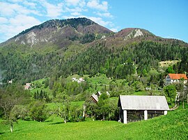 Черкно Словения - Гора Койца.JPG
