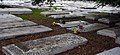 Charlotte Jane Memorial white graves.jpg