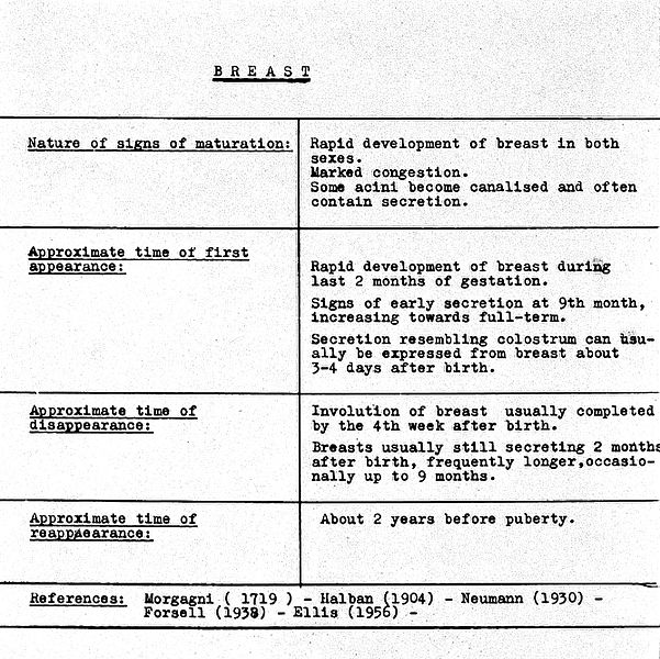 File:Chart showing the developement of the breast. Wellcome L0002176EC.jpg