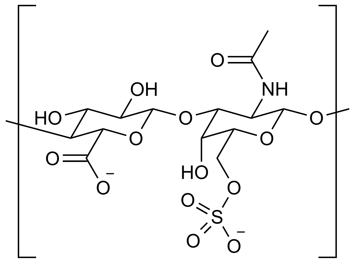 Osteoartritis - degenerativna bolest zglobova