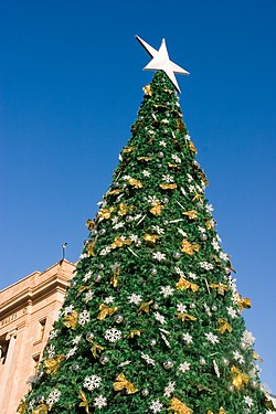 Christmas Tree and Star-02+ (299328830).jpg