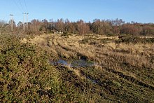 Chudleigh Knighton Heath Chudleigh Knighton Heath (geograph 2198848).jpg