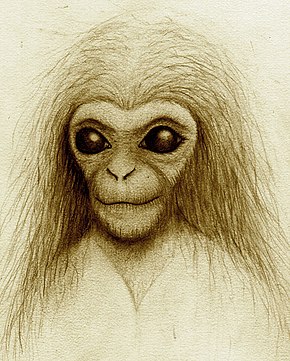 Humanzee Wikipedia