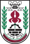 Coat of arms of Nof HaGalil