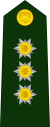 Colombia-Army-OF-8.svg