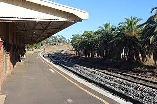 <span class="mw-page-title-main">Condobolin railway station</span> Railway station in New South Wales, Australia
