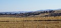 Corn field in Winter, Lesotho - panoramio.jpg