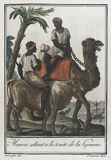 Gomme arabique du Soudan - 250g