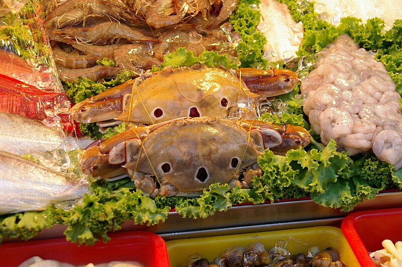 File:Crabs looks like koala (1088066195).jpg