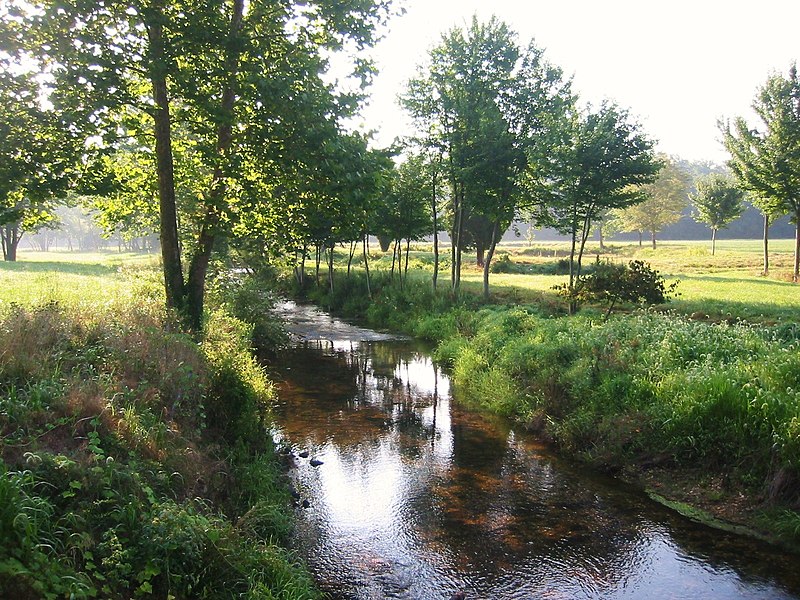 File:Creek at Fish Hatchery Rd and Bethel Rd - panoramio.jpg