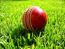 Cricket ball on grass.jpg