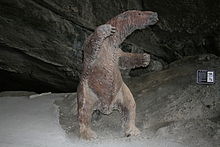 Model of Mylodon. Cueva del Milodon, Puerto Natales, Chile2.jpg