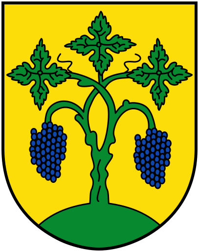 File:DEU Soergenloch COA.svg