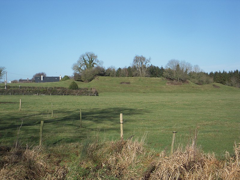 File:Danestown Ringfort - geograph.org.uk - 1702183.jpg