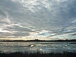 Charleston Slough