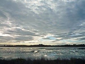 Charleston Slough