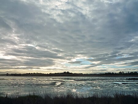 Dawn at the Slough