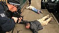 Day 144 - West Midlands Police - Armed Response Training (7254557460).jpg