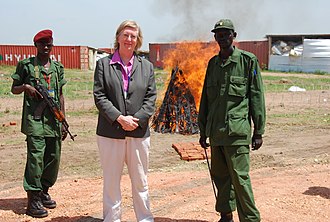 Her Majesty's Ambassador to Sudan, Dr Rosalind Marsden, attended the launch of the "Southern Sudan Demobilisation, Disarmament and Reintegration" (DDR) programme in Juba on 10 June 2009. The UK has donated PS20 million to this process, the largest of its kind in the world. Demobilisation, Disarmament and Reintegration programme in Sudan (3616851660).jpg