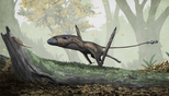 Restoration of Dimorphodon by Mark P. Witton, 2015