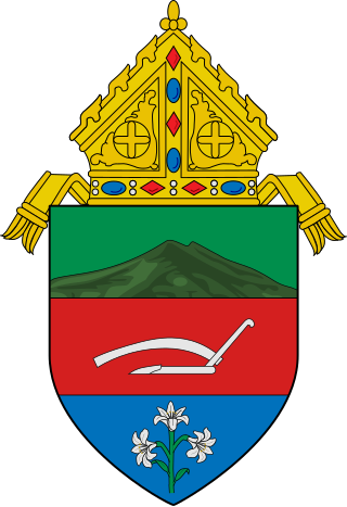 <span class="mw-page-title-main">Roman Catholic Diocese of Digos</span> Roman Catholic diocese in the Philippines