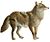Anjing, serigala, serigala dan rubah (Plat IX).jpg