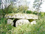 Dolmen-de-Laverré-Aslonnes-86.jpg