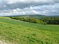 Looking East, typical downland scenery in the Medway Gap, Ranscombe Farm