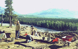 <span class="mw-page-title-main">Dry Creek Archeological Site</span> Archaeological site in Alaska, United States