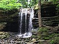 Dundee Falls, Ohio; Dundee Sandstone (Upper Carboniferous).