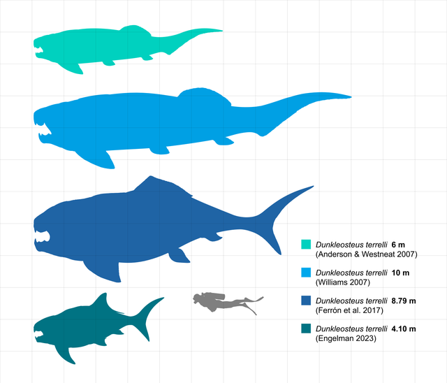 How big are Dunkleosteus?