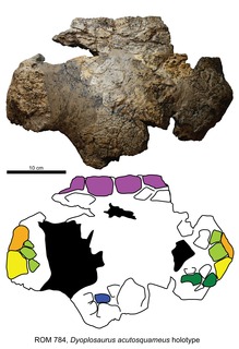 <i>Dyoplosaurus</i> Extinct genus of dinosaurs