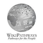 WikiPathways logo