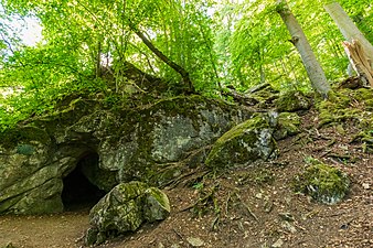 06/2020 Naturschutzgebiet Erdbacher Höhlen bei Breitscheid, LDK 24