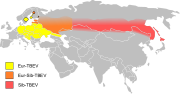 Hình thu nhỏ cho Viêm não do ve gây ra