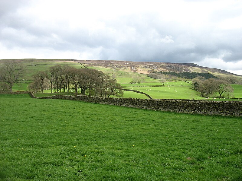 File:Farmland near Saughtreegate - geograph.org.uk - 5778553.jpg