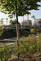 Frankfurt Bockenheim, Zeppelinpark, Brücke zum Taschenpark