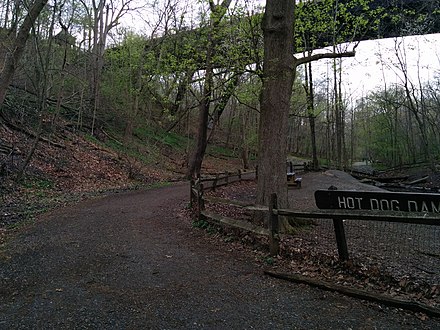 Hiking trail in Frick Park beneath the Fern Hollow Bridge (2015)