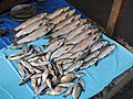 Fish market Roing Arunachal DSCN3607.JPG