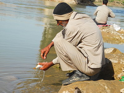 ماهی‌گیری