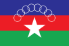 果敢自治區 ကိုးကန့်ကိုယ်ပိုင်အုပ်ချုပ်ခွင့်ရဒေသ旗幟