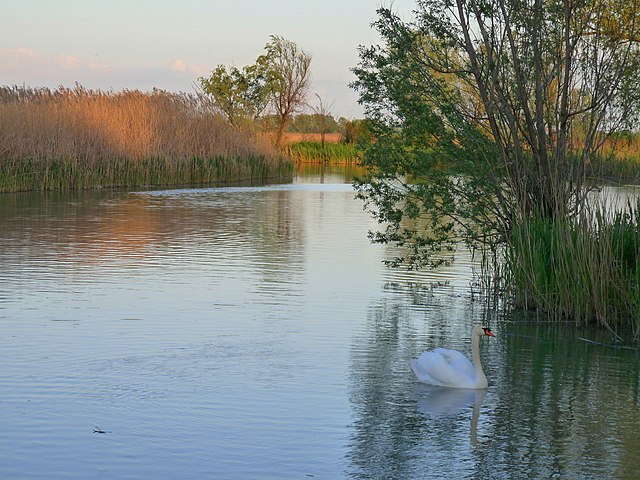 Mincio river in the countryside