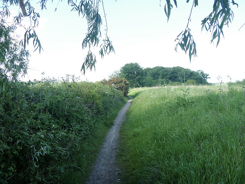 File:Footpath and cycleway (4) - geograph.org.uk - 5420428.jpg