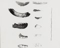 Fragmenten dierlijke resten uit de grot van Leang Petta op Zuid-Celebes, KITLV 164517.tiff