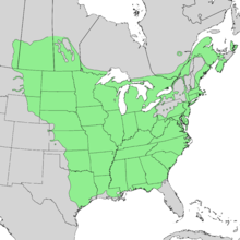 Fraxinus pennsylvanica range map 3.png