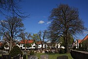 Der Friedhof in Eichenzell mit den acht als Naturdenkmal geschützten Bäumen