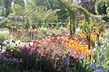 Monetova zahrada, Giverny